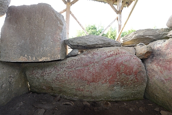 20250918saizon hidari.jpg(141362 byte)